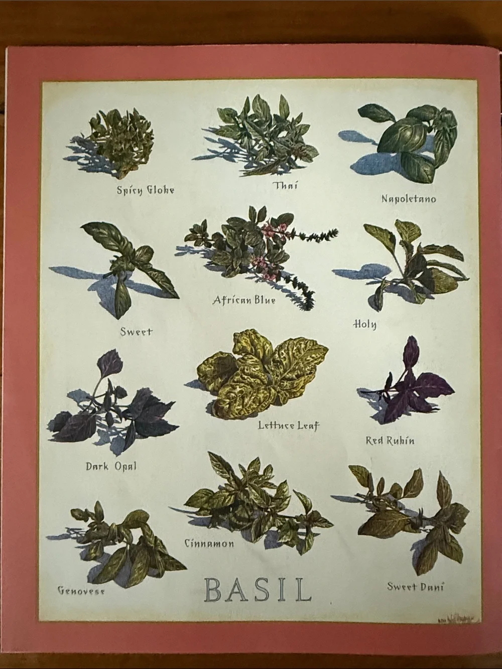 Cooks illustrated - may/june 2000